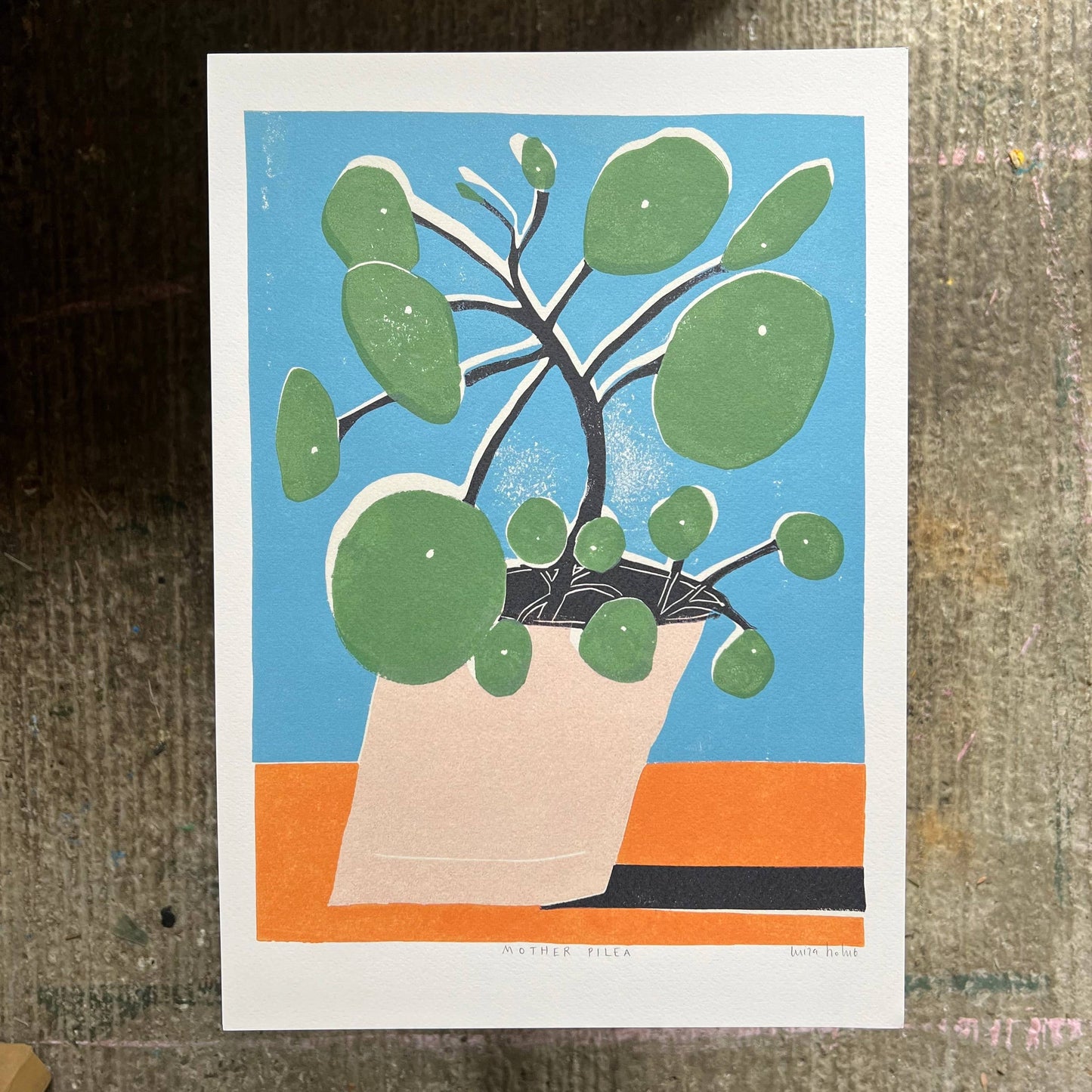 Mother Pilea A3 Art Print