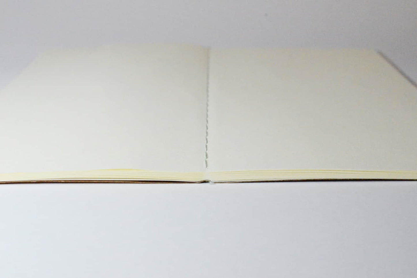 Ro-biki Note Star Map Plain Notebook