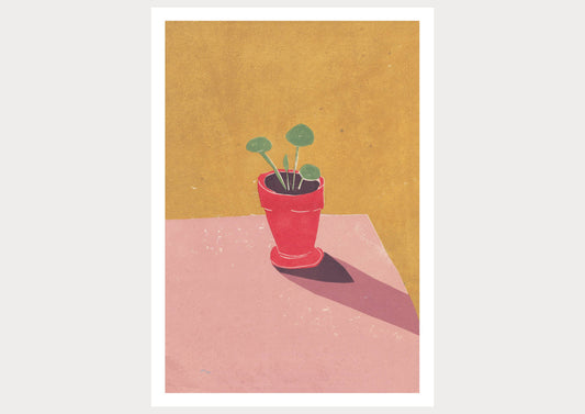 Baby Pilea A3 Art Print