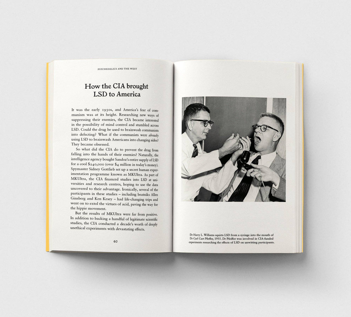 Psychedelics, A Pocket Primer