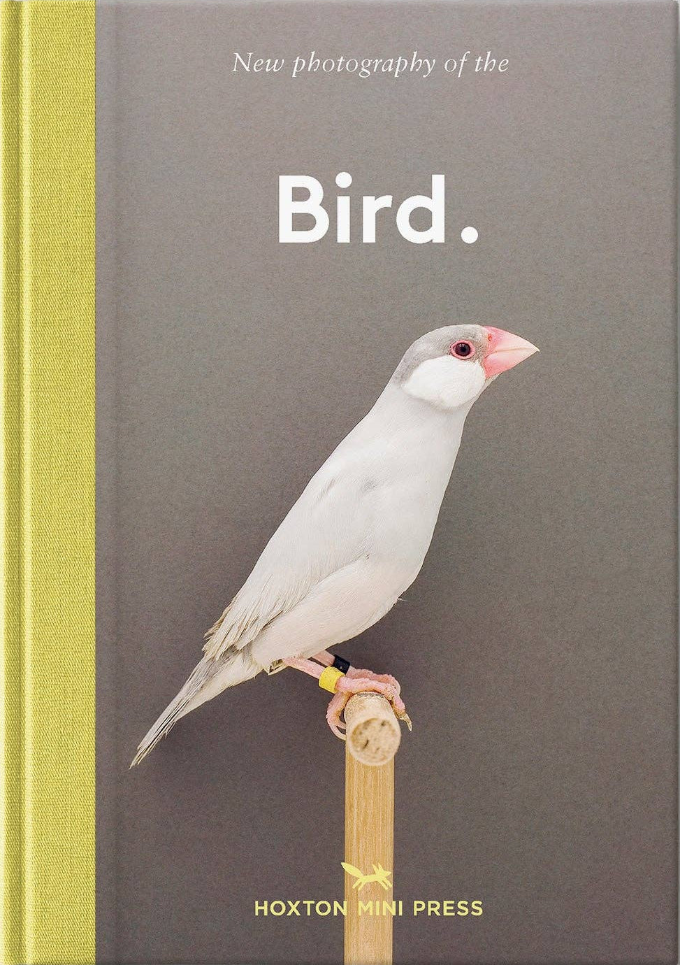 Bird.