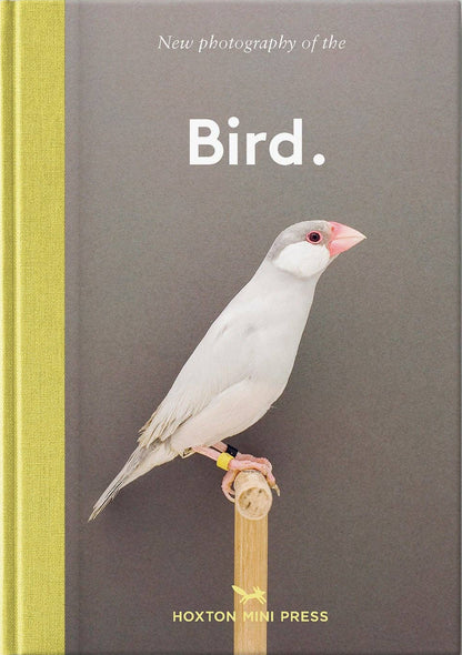 Bird.