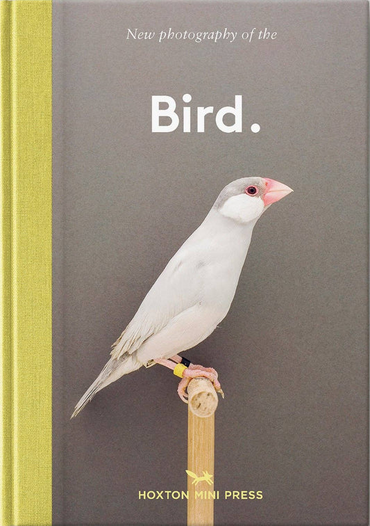 Bird.