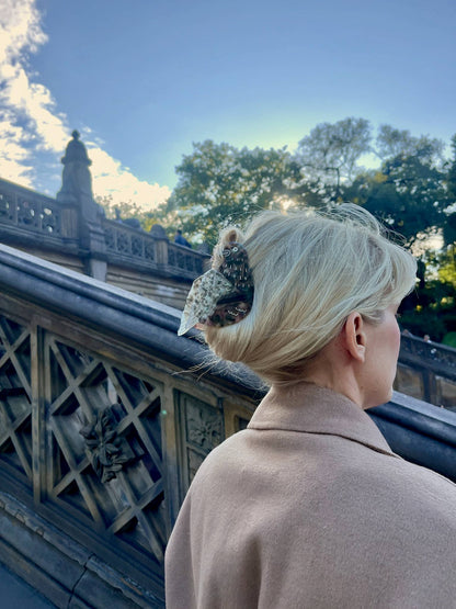 Pigeon Claw Hair Clip
