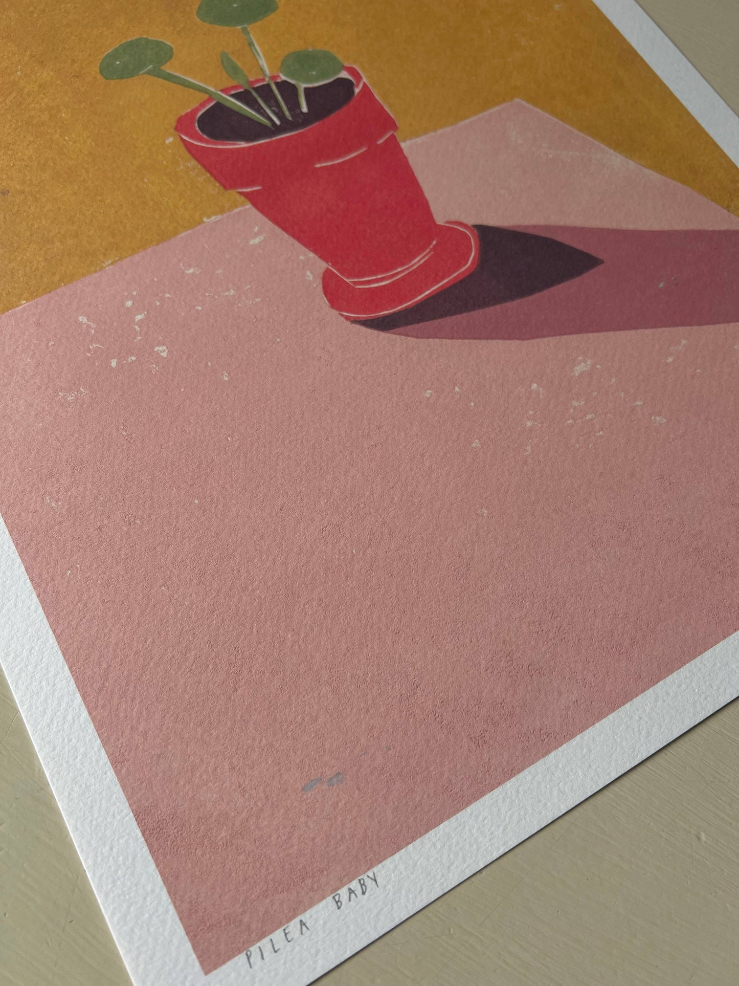 Baby Pilea A3 Art Print