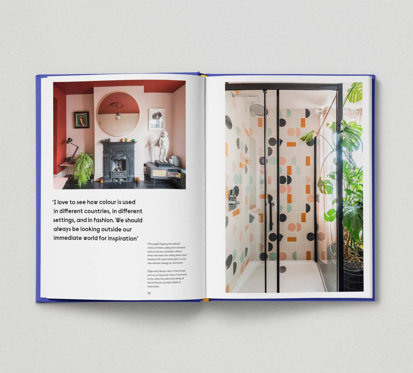 The New Colourful Home