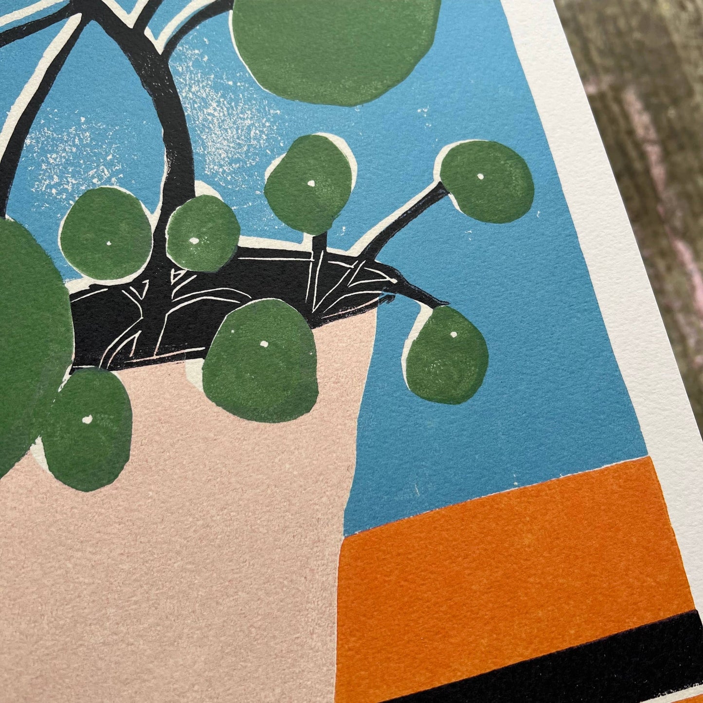 Mother Pilea A3 Art Print