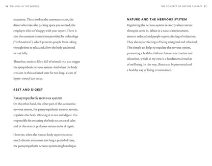 Walking In The Woods - Shinrin-Yoku