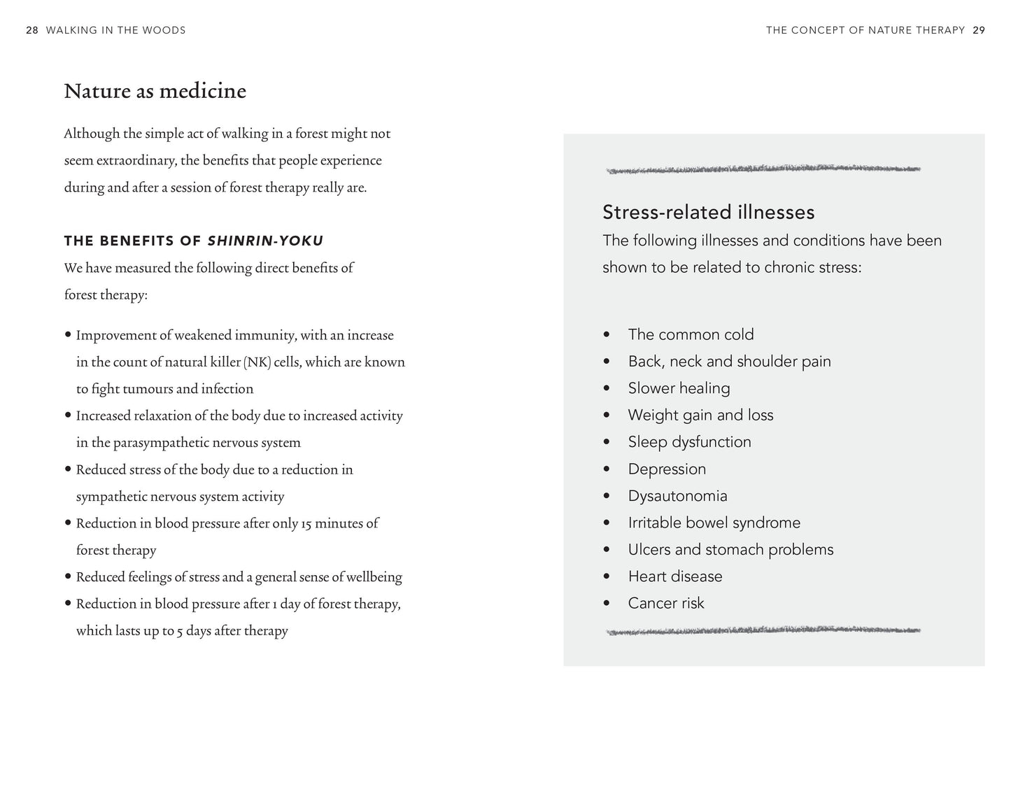 Walking In The Woods - Shinrin-Yoku