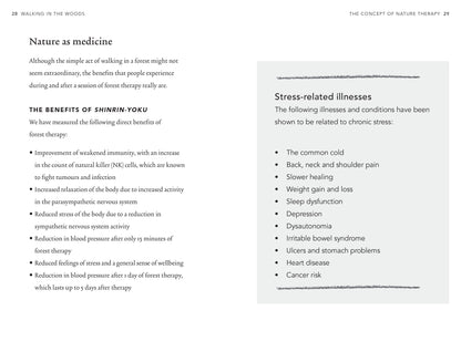 Walking In The Woods - Shinrin-Yoku