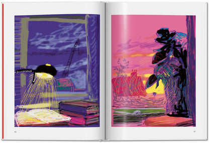 David Hockney: My Window