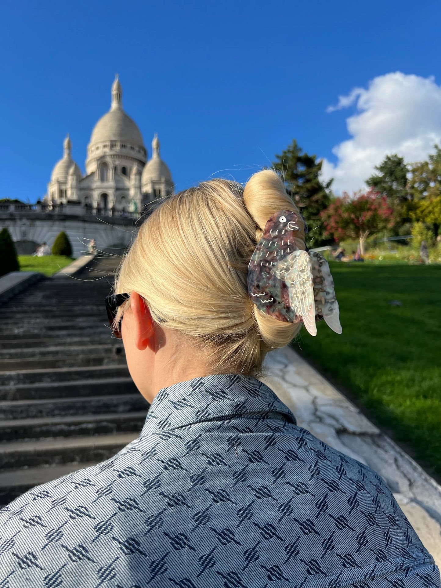 Pigeon Claw Hair Clip