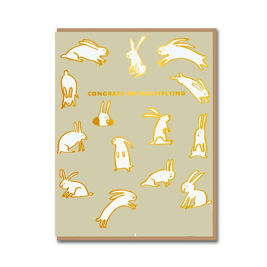 Rabbits Multiplying New Baby Card
