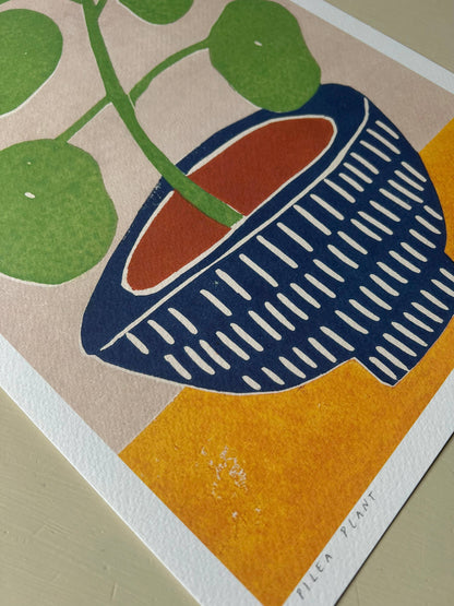 Pilea Plant A3 Art Print