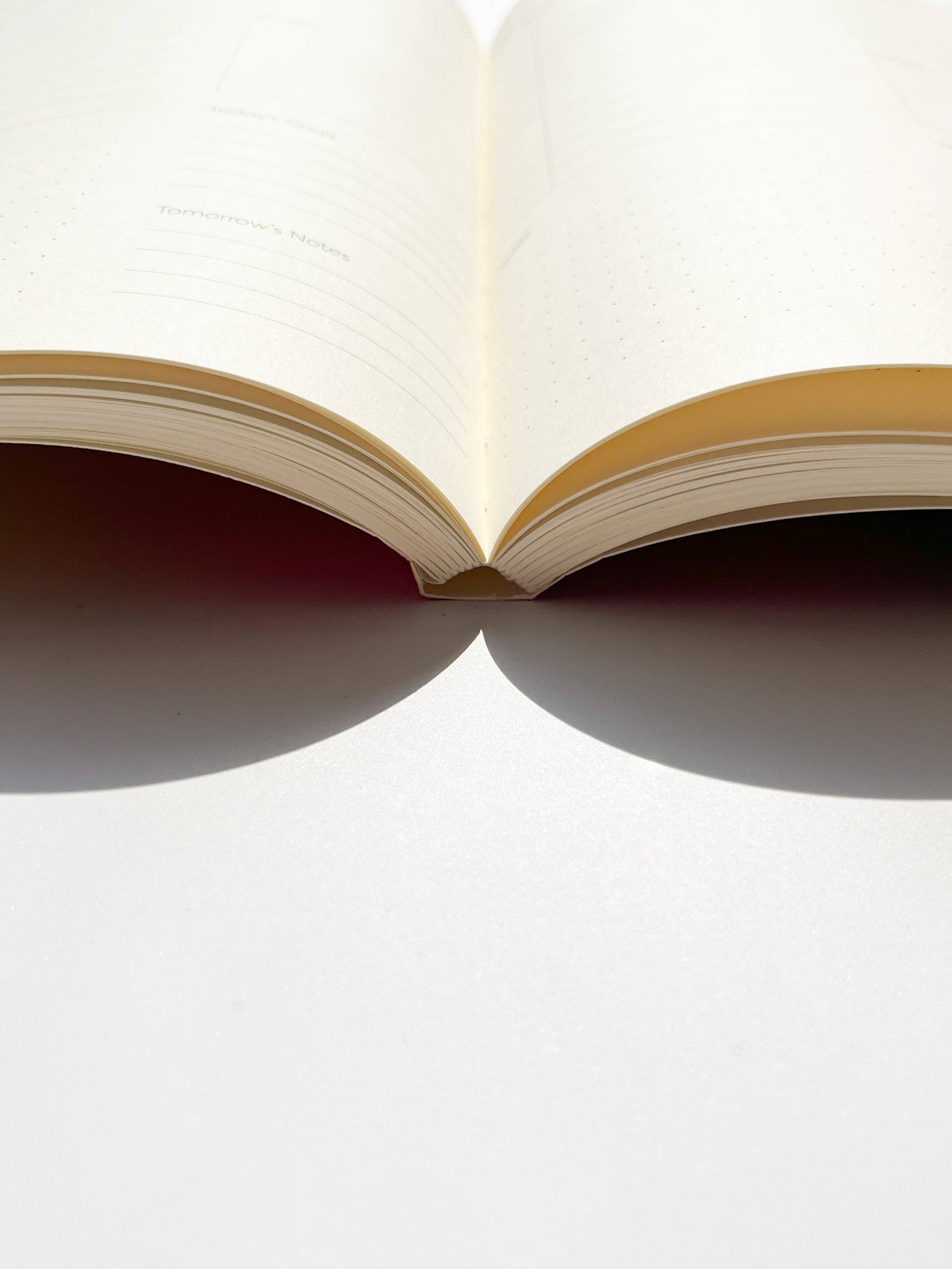 Echoes Daily Planner Lay-Flat Notebook