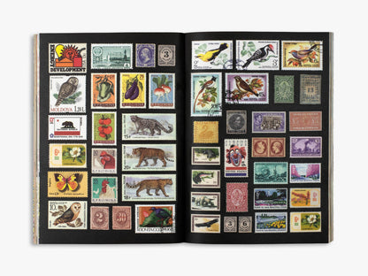 The Curious Collections Sticker Book